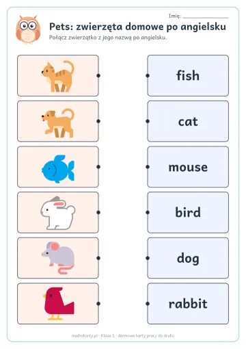 Karta pracy: Pets: zwierzęta domowe po angielsku