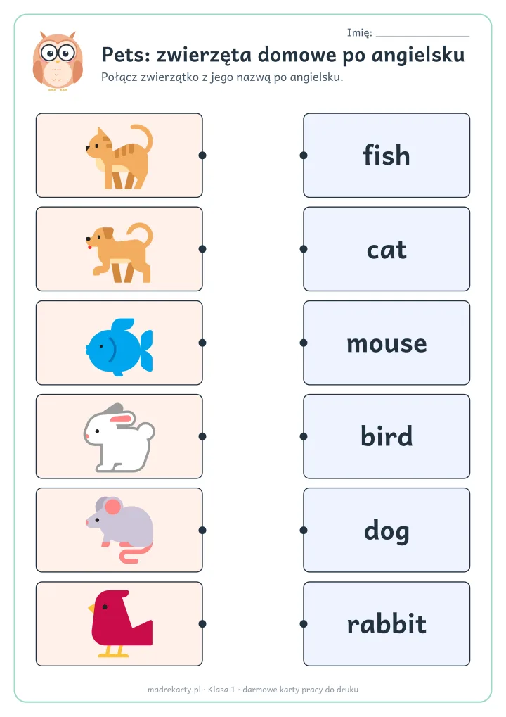 Podgląd karty: Pets: zwierzęta domowe po angielsku