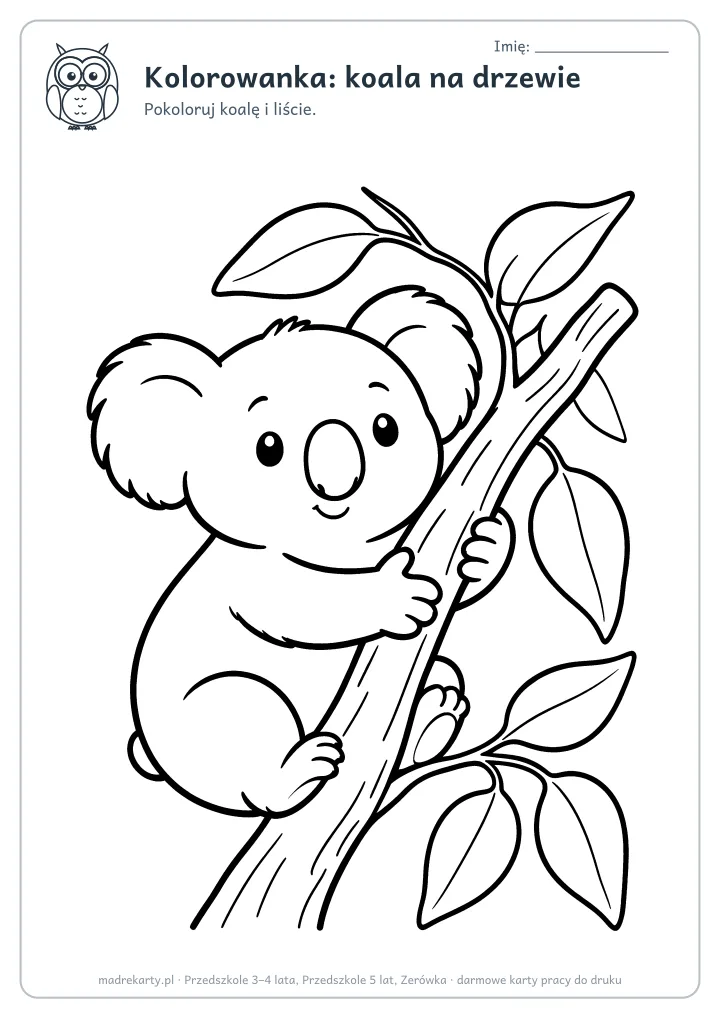 Podgląd karty: Kolorowanka: koala na drzewie