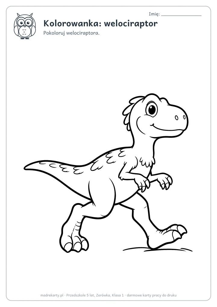 Podgląd karty: Kolorowanka: welociraptor