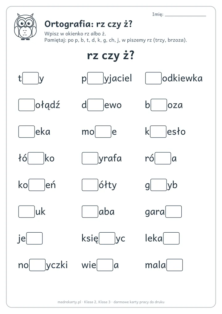 Podgląd karty: Ortografia: rz czy ż?