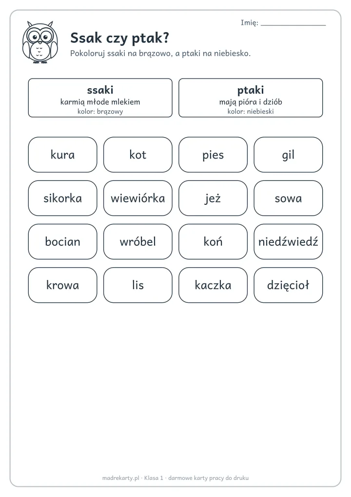 Podgląd karty: Ssak czy ptak?